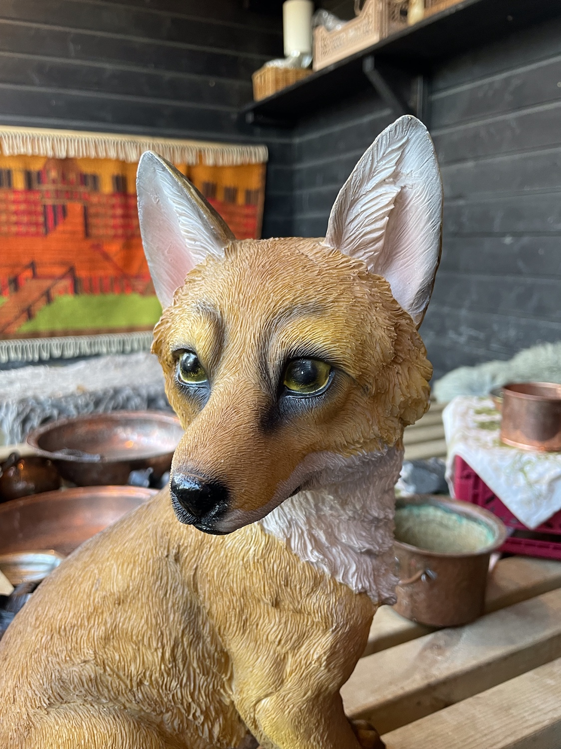 Blogg - Fjærskyan - Mikkel Rev - Planetringen-Vikhammeråsen Barnehage